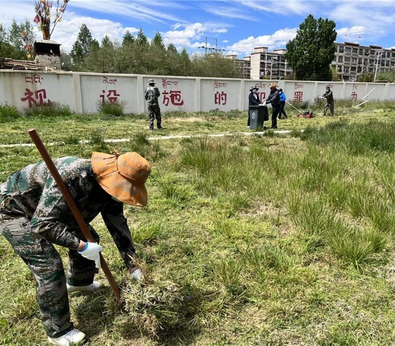 全台职工除草绿化家园